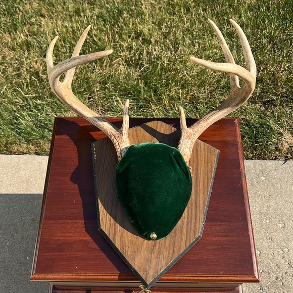 Vintage 8 Point Whitetail Deer Buck Antlers Green Velvet Wall Mount Plaque - Picture 10 of 12